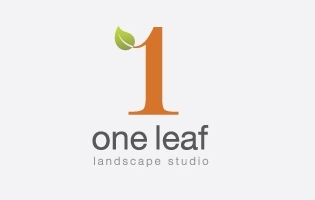 One Leaf